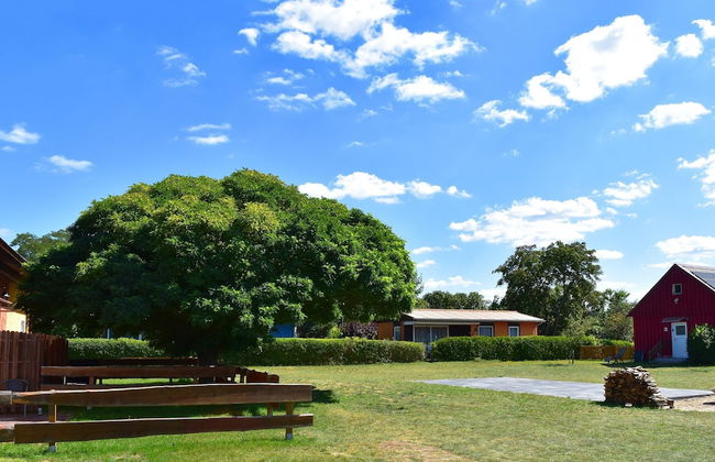 Apartment in Mirow by Lake Vilzsee - Photo 29