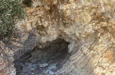 Villa Delfini - Foto 51