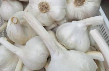 Romitorio di Castiglione del Lago - Photo 23