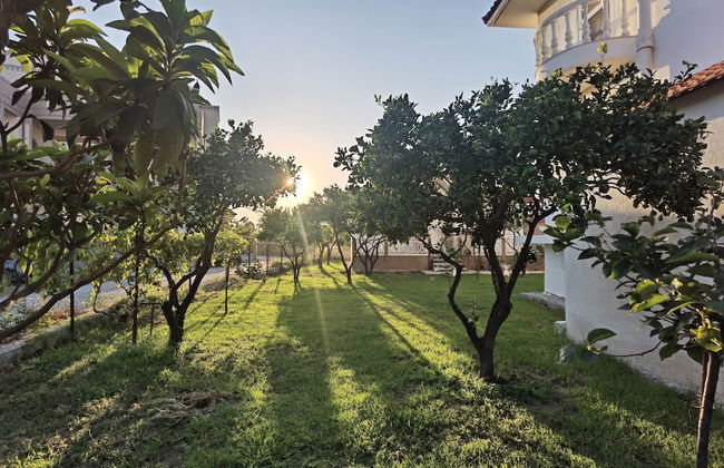 Freeman Greenlees Classical Greek - Foto 28