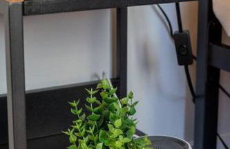 Prime OTR off Vine St, Lux Full Bed, Fast WiFi, Fully Equipped, 50in TV, Sleeps 4ppl - Foto 34