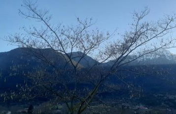 Βίλα Αρμονία Ορεινή Κορινθία - Foto 48