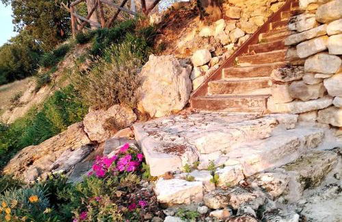 Casale dei 3 galli - Foto 40