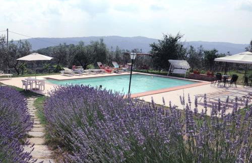 Apartment 'Tommaso' mit Schwimmbad by Interhome - Foto 36