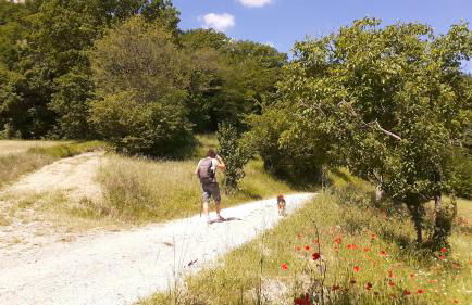 Agriturismo Marcofrate, a Retreat in the Nature - Foto 36