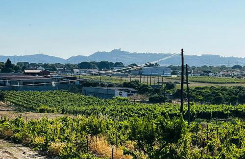 Refugio do Gato - Photo 80