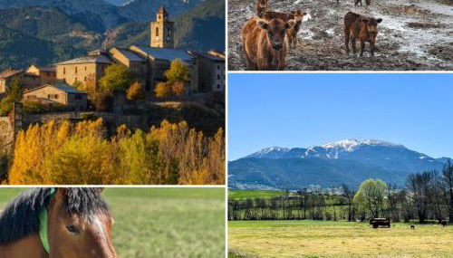 Masía Cal Kenyon - Photo 2