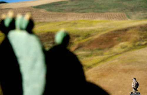 Agriturismo Villa Dafne - Foto 108