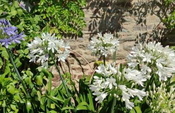 Talvern, Les Mouettes à Landévant - Foto 15
