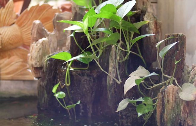 The Luxury Residence - Foto 66