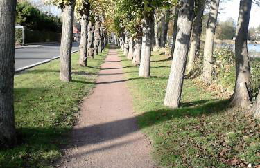 Ferienhaus Pauline am See - Foto 13