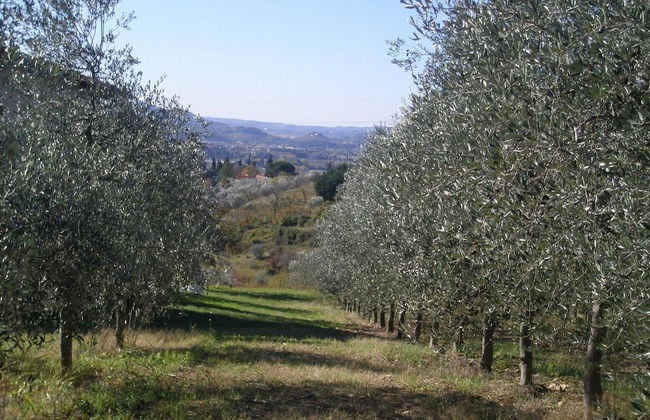 Agriturismo Poggiopiano - Photo 43