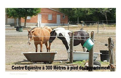 Charmant Appartement avec piscine. - Foto 18