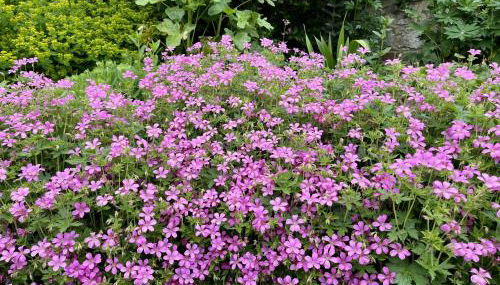 Library Cottage by inspirestays-com - Foto 4