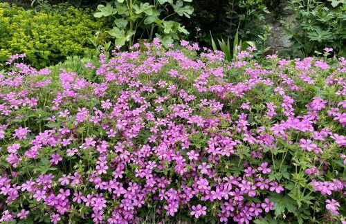 Library Cottage by inspirestays-com - Foto 4