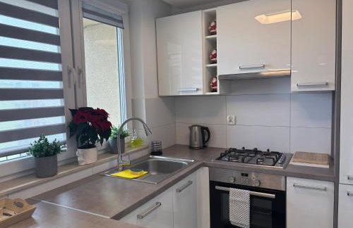 Ekskluzywny Apartament Joanna w centrum Bochni - Foto 6