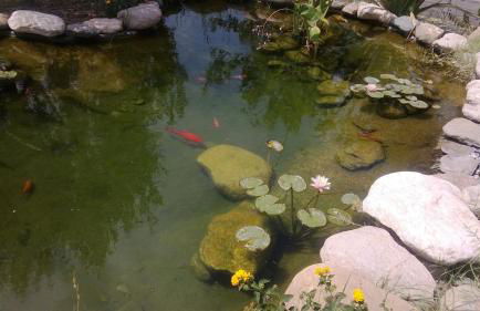 Taormina Villa Ibiscus Alcantara - Foto 39