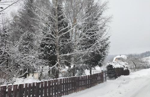 Domek całoroczny Pod Bieszczadzkim Aniołem - Foto 38