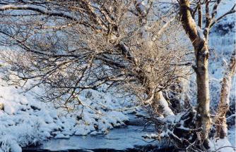 Craiglea Lodge & Barn - Foto 52