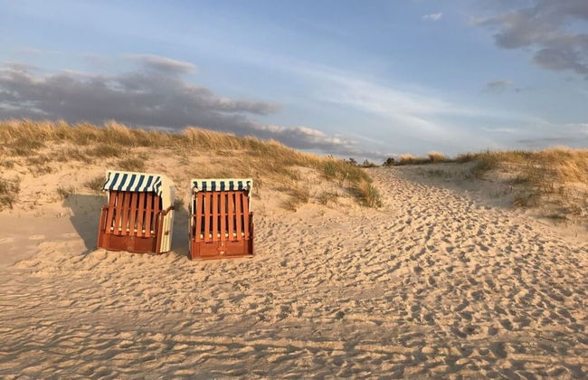 Holiday House Dune Forest b - Photo 17