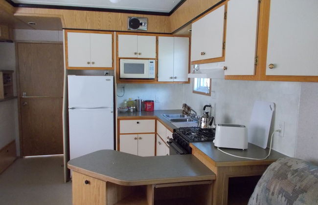 Arctic Homestead - Foto 4