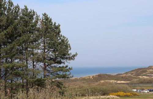 Les 4 oies - Wimereux - Foto 23