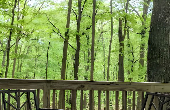 Autumn Wings - A Natural Retreat - Foto 26