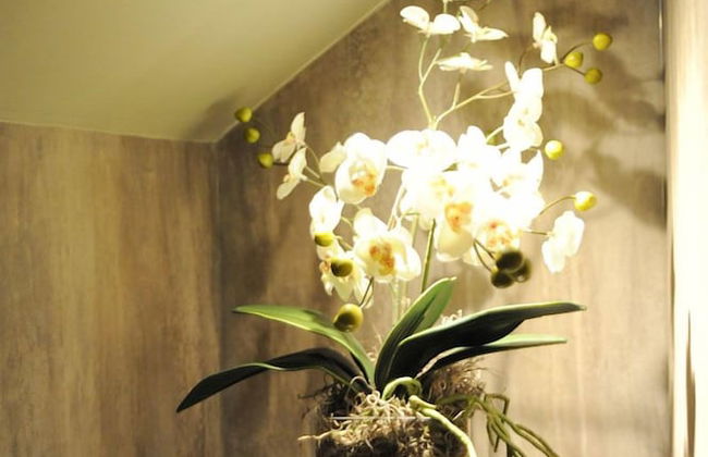 Stirling Luxury Apartments - Foto 17