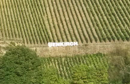 Moselanker de in Enkirch Mosel - Foto 53