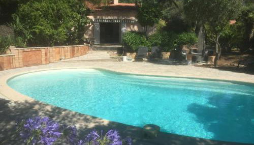 Les cigales - Foto 5