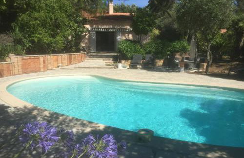 Les cigales - Foto 5