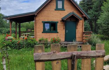 Głuszecki las - Foto 18