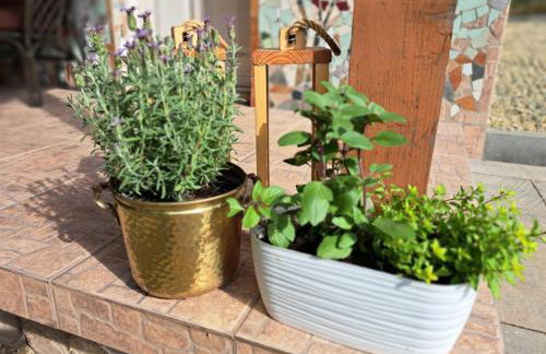 Brzozowy Zakątek - Foto 35