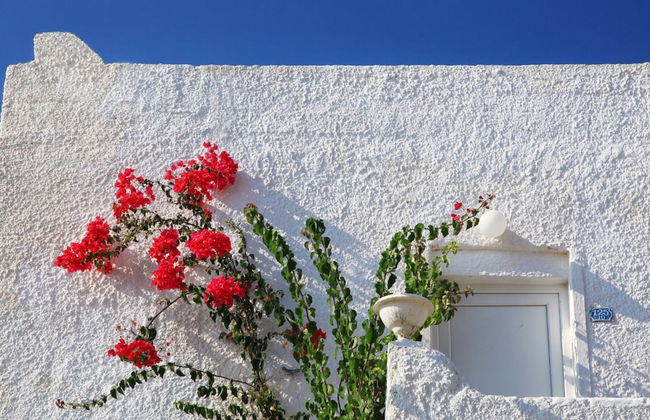 Sunset Mavi - Foto 32