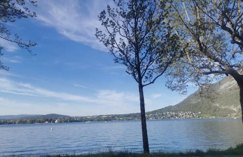 Charmant appartement à 1 minute du lac - Foto 46