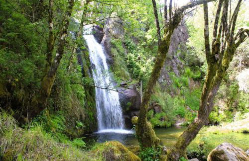 Casa dos Côtos. - Foto 48