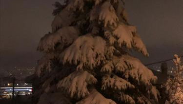 Chez Pépé Louis - Foto 4