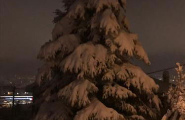 Chez Pépé Louis - Foto 4