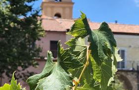 Domus in Horto - Foto 15