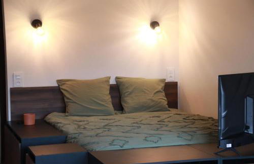 Appartement Le nid sur l'Ain - Foto 16