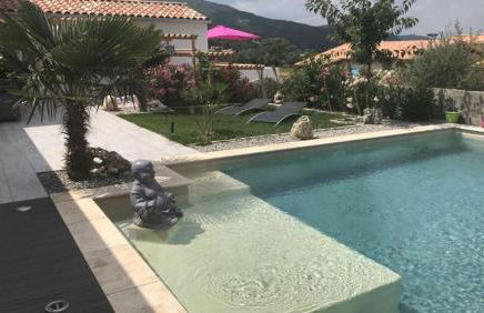 La Salamandre de l Olivier - le Palmier - Foto 19