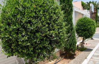 Matthias Hotel Apartments - Foto 63