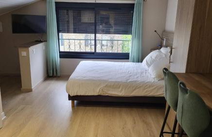Oyonnax Bellignat Appart Hotel - Foto 3