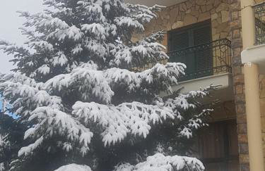 Krystal Hotel - Foto 15