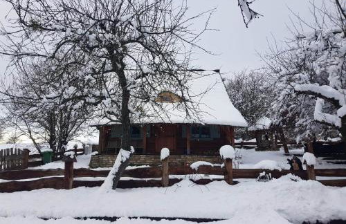 Jabłoniowy Sad Kalwaria Pacławska - Foto 36