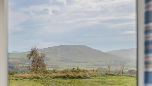 Oak Tree Timber Holiday Lodge - Foto 5