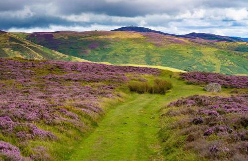 3 Bed in Wrexham oc-83938 - Foto 32