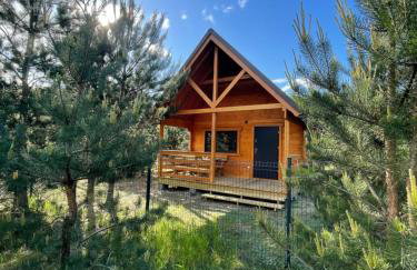 Domki Sosnowy Zakątek Swornegacie - Foto 1