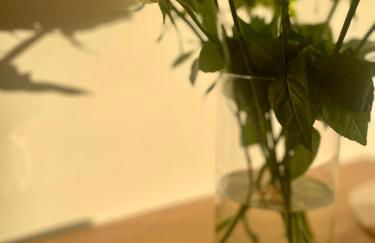 Komm & Bleib - Foto 12