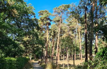 MarEwa Ferien - Photo 21